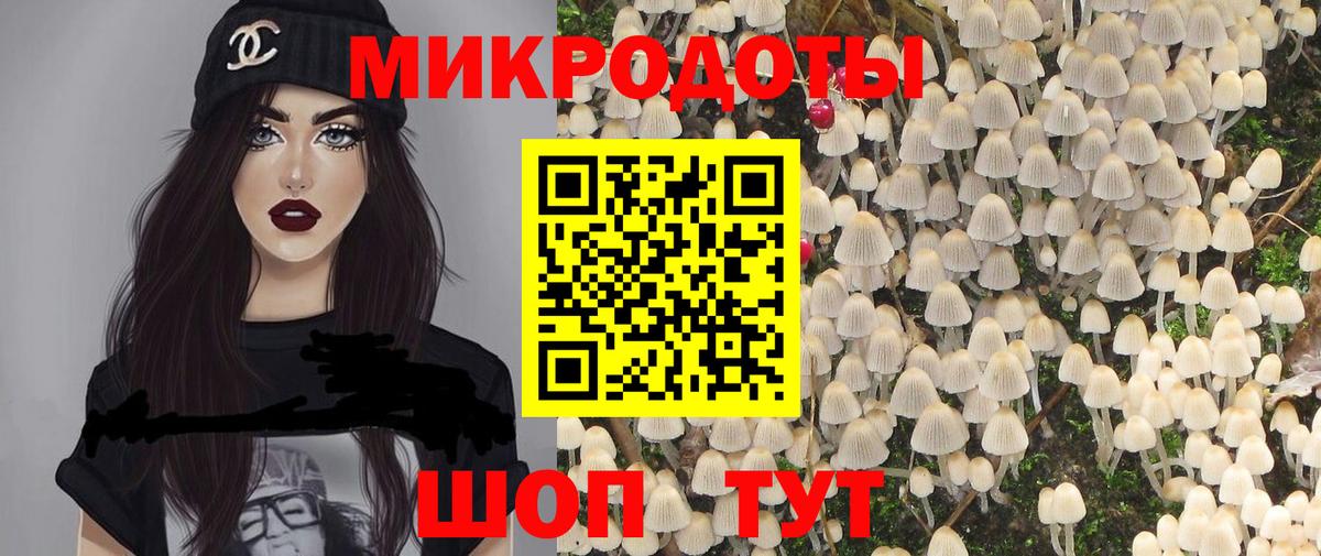 Галлюциногенные грибы Psilocybe Сосновоборск